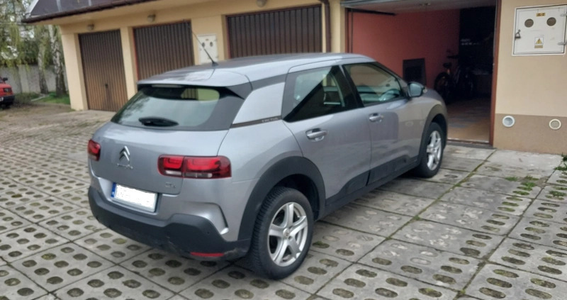 Citroen C4 Cactus cena 49000 przebieg: 41000, rok produkcji 2019 z Rzeszów małe 56